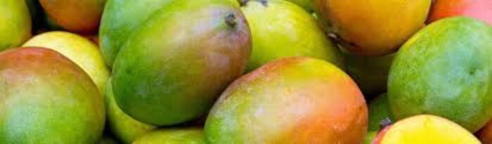 mango pic